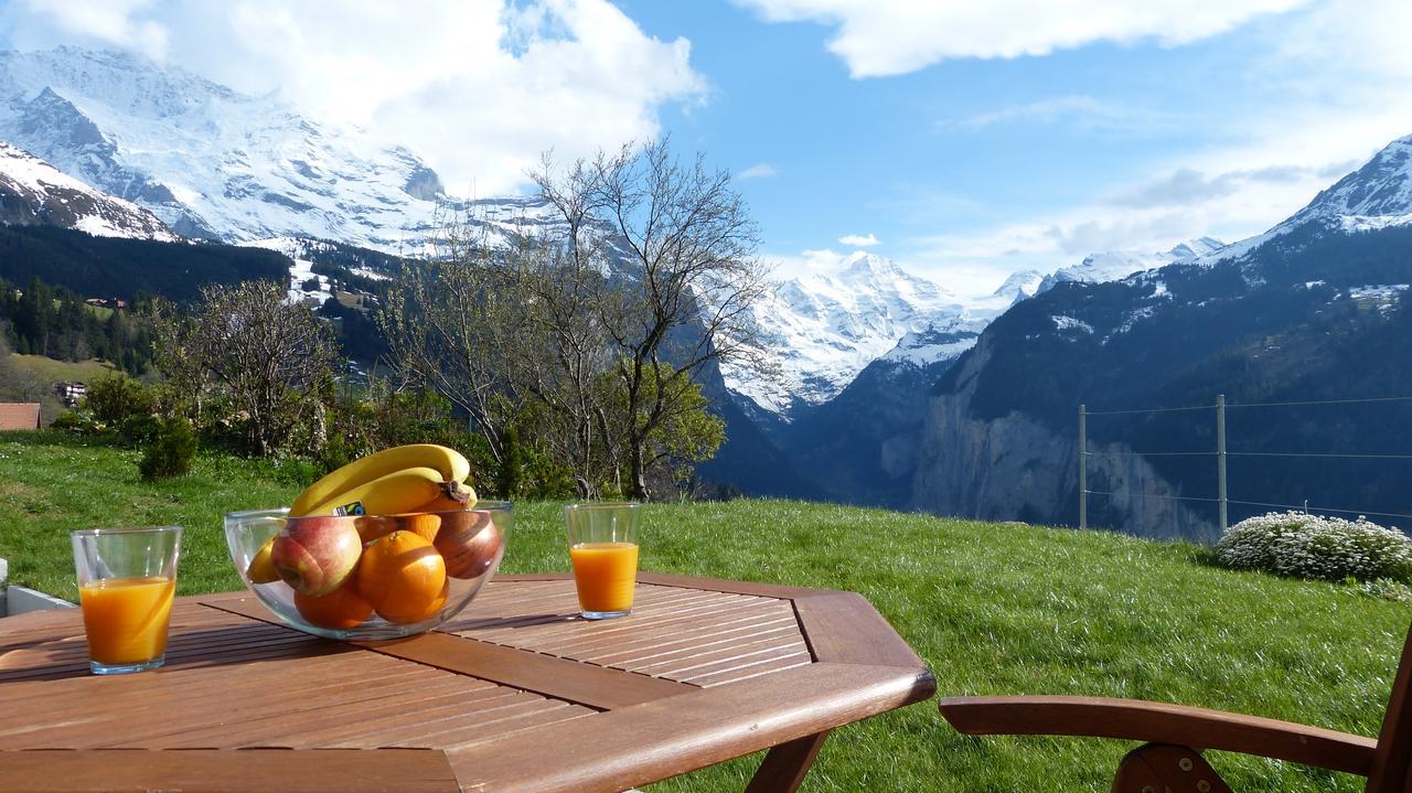 Chalet Canadian Corner Wengen Exteriér fotografie